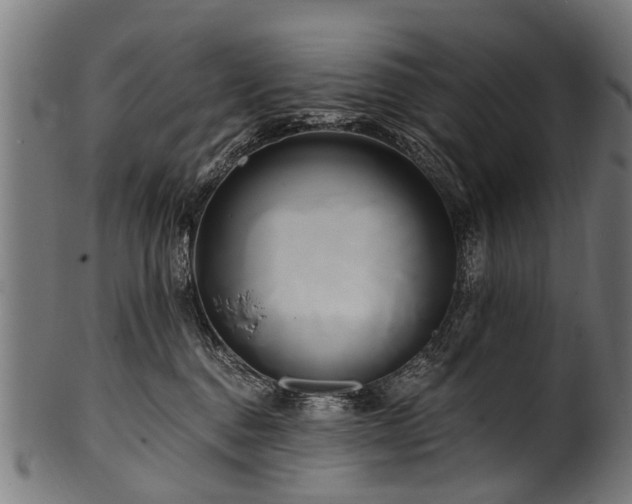 X0000100970376200806241557