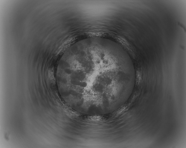 X0000100970377200806241557