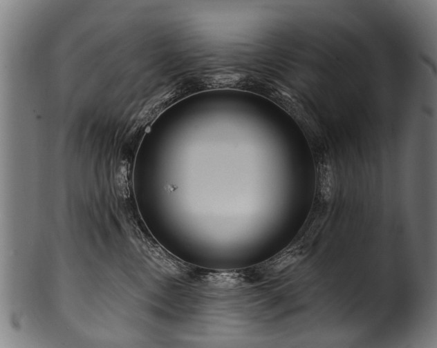 X0000100970378200806241557