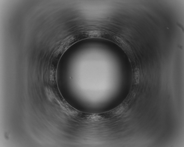 X0000100970379200806241557