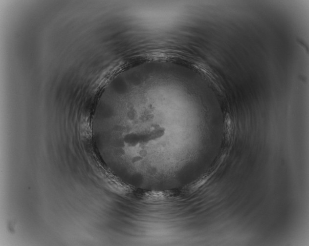 X0000100970381200806241557