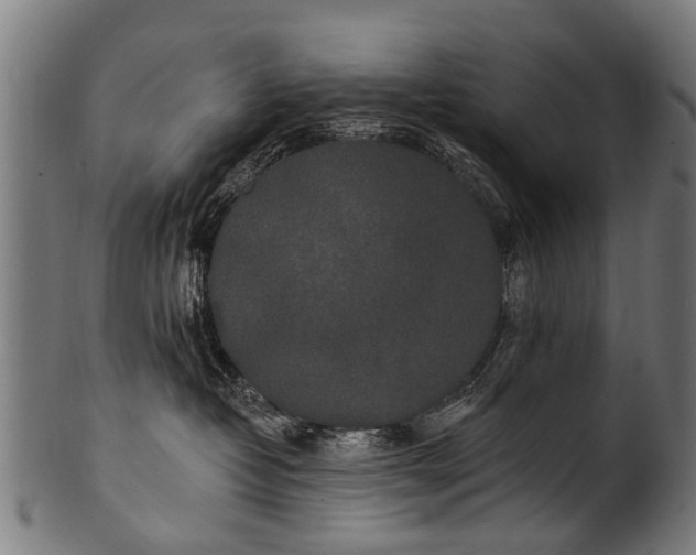 X0000100970382200806241557
