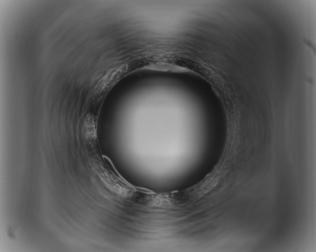 X0000100970384200806241557