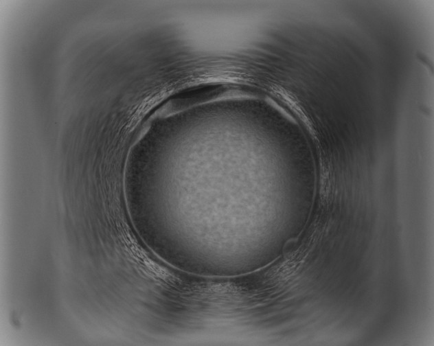 X0000100970385200806241556