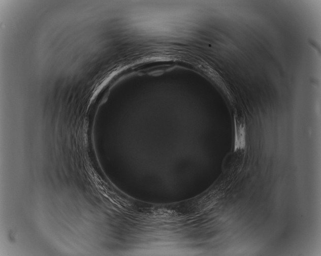 X0000100970387200806241556