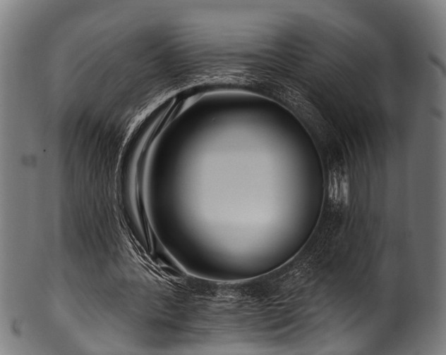 X0000100970388200806241556