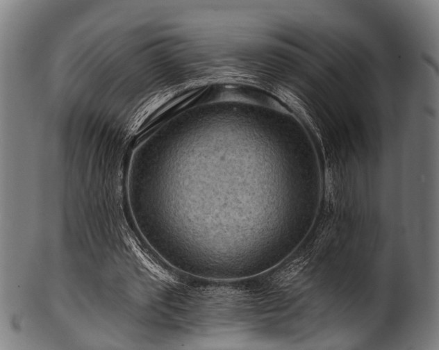 X0000100970389200806241556
