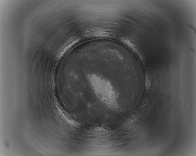 X0000100970390200806241556