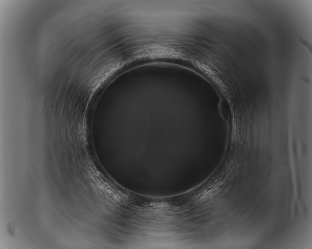 X0000100970391200806241556