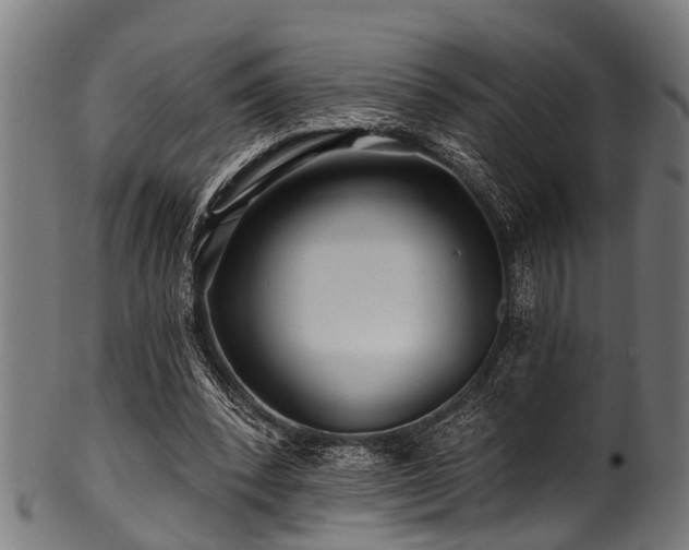 X0000100970392200806241556