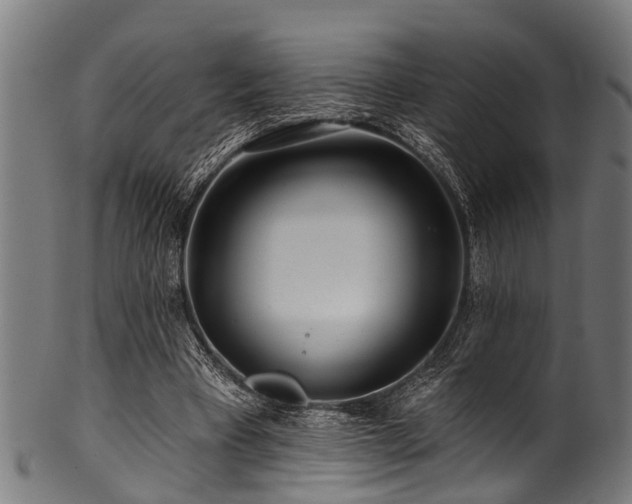 X0000100970393200806241556