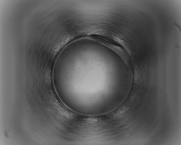 X0000100970394200806241556