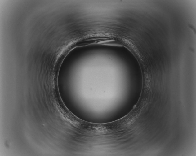 X0000100970395200806241556