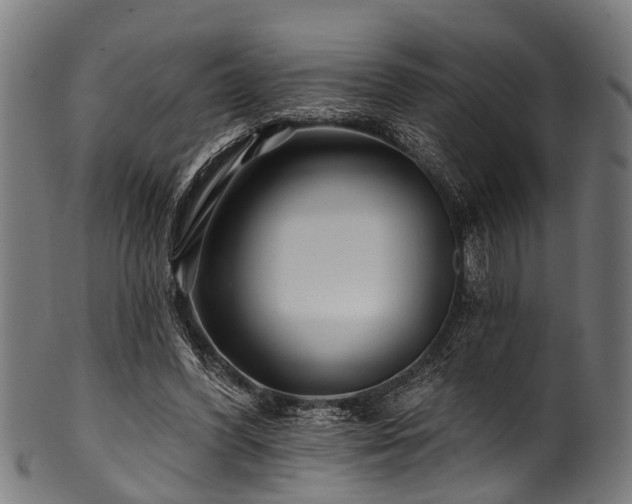 X0000100970396200806241556