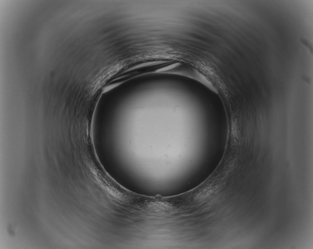 X0000100970397200806241556