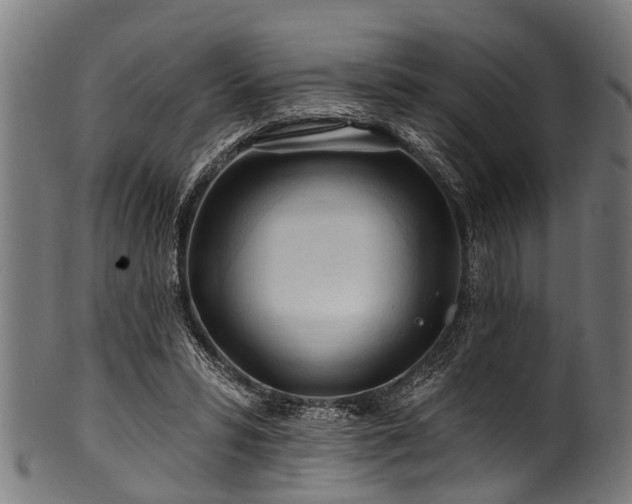 X0000100970399200806241556