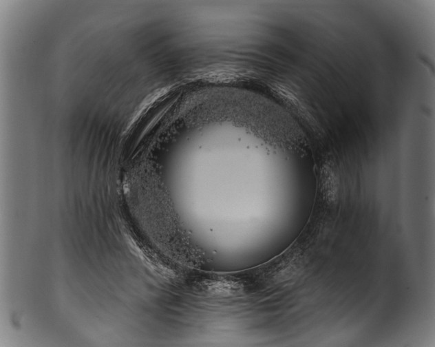 X0000100970400200806241556