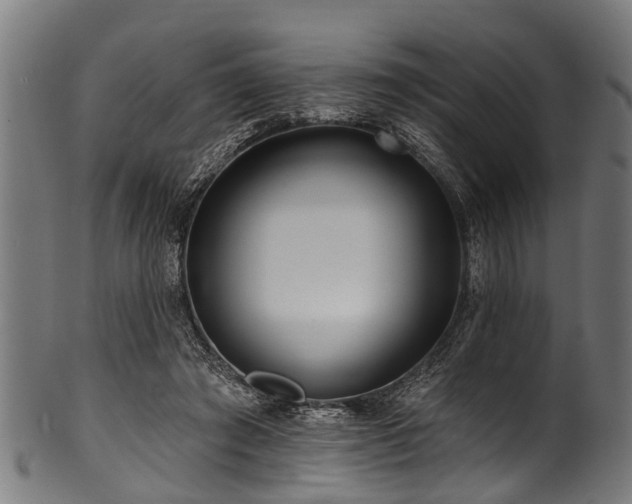 X0000100970401200806241556