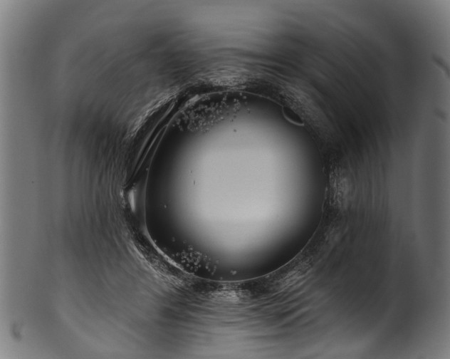 X0000100970404200806241556