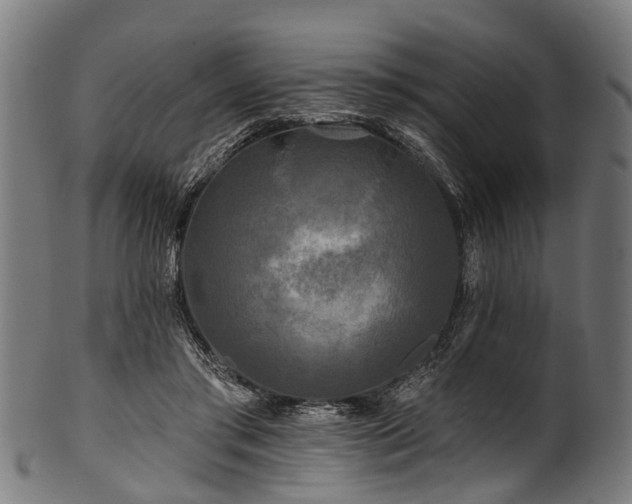 X0000100970405200806241556