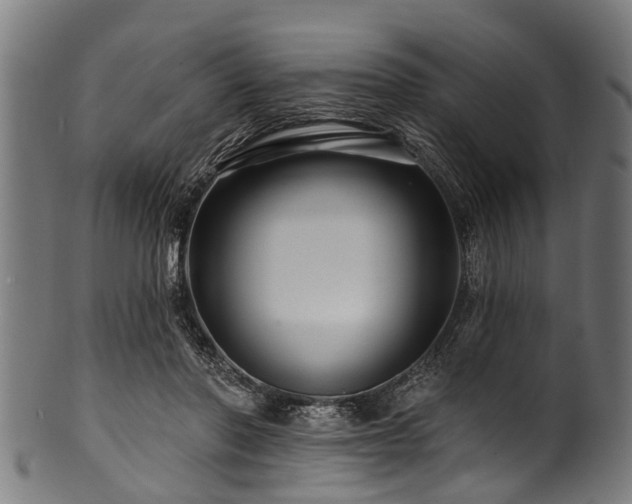 X0000100970406200806241556