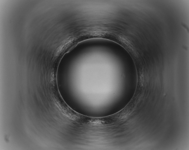 X0000100970407200806241556