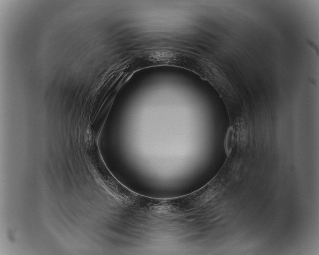 X0000100970408200806241556