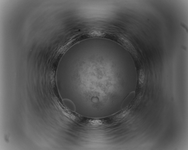 X0000100970409200806241556