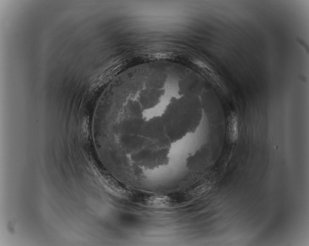 X0000100970410200806241556