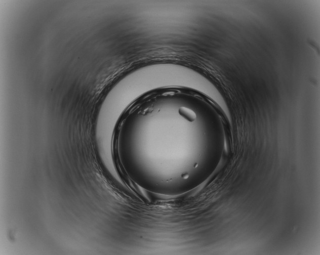 X0000100970411200806241556