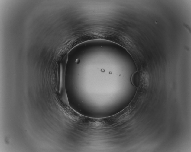 X0000100970412200806241556
