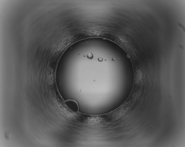 X0000100970414200806241556