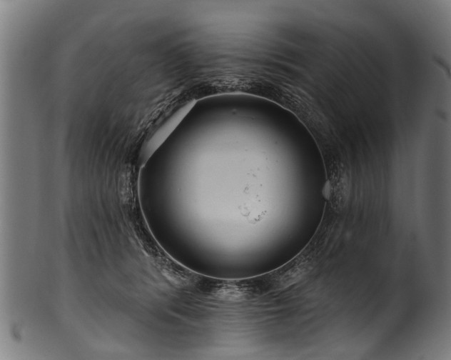 X0000100970416200806241556