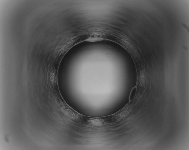 X0000100970417200806241556
