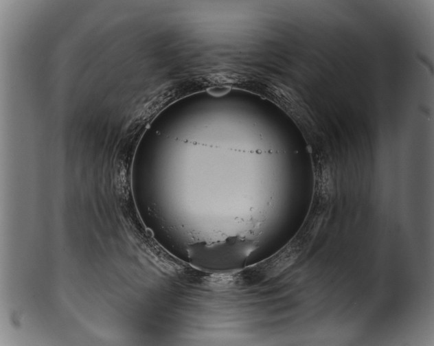 X0000100970418200806241555