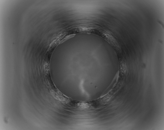 X0000100970419200806241555