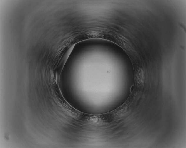 X0000100970420200806241555