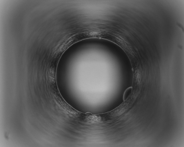 X0000100970421200806241555