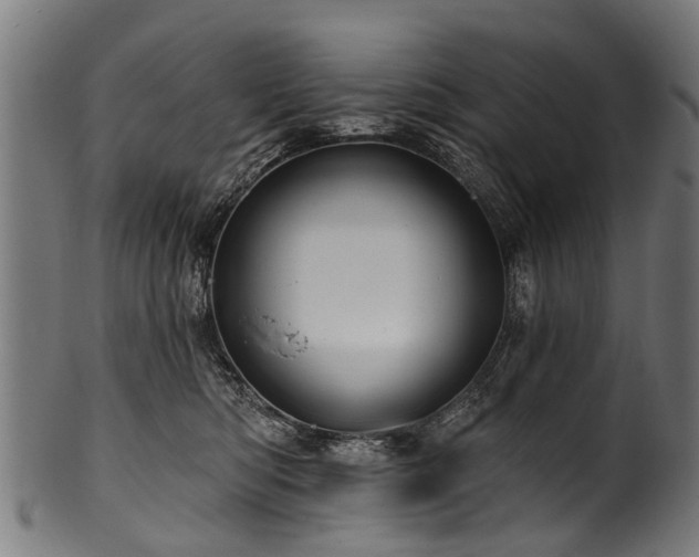X0000100970422200806241555