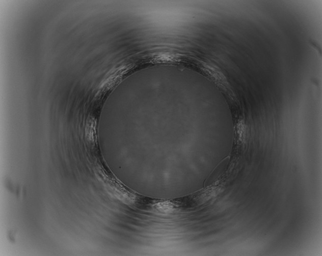 X0000100970423200806241555