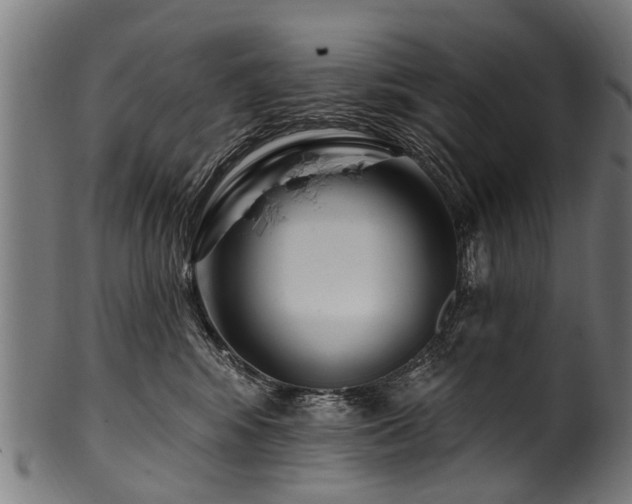 X0000100970424200806241555