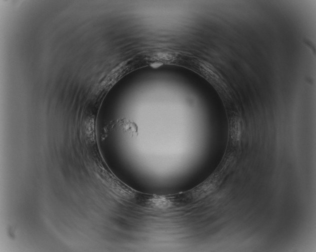 X0000100970425200806241555