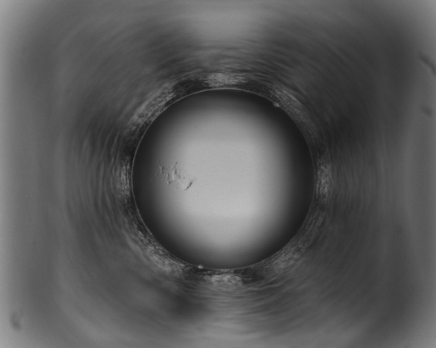 X0000100970426200806241555