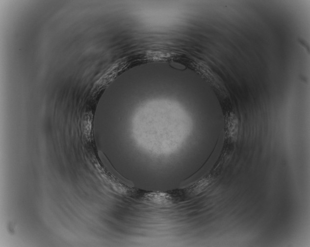 X0000100970427200806241555