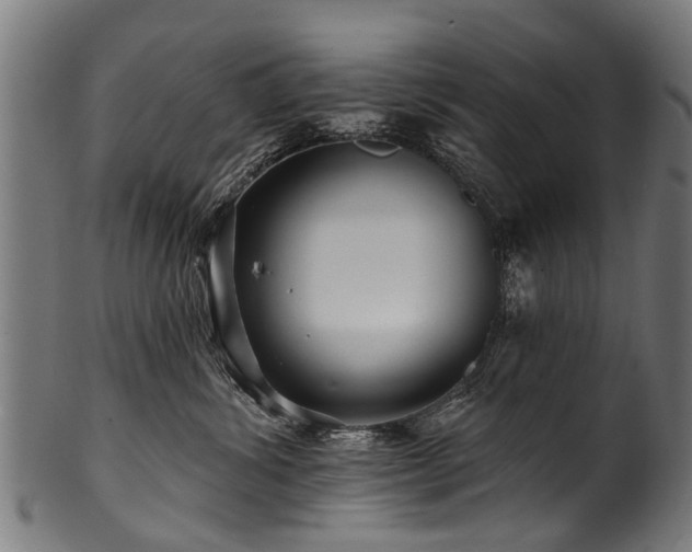 X0000100970428200806241555