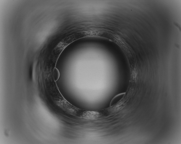 X0000100970429200806241555