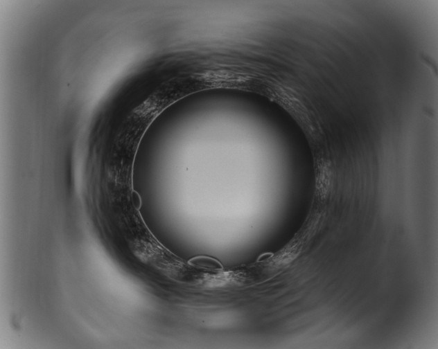 X0000100970430200806241555