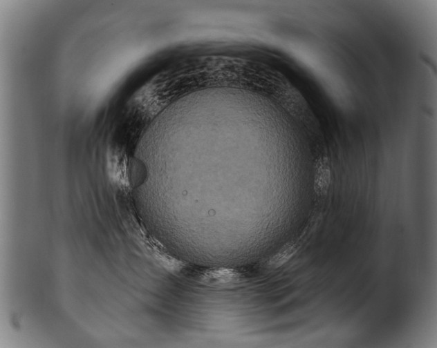 X0000100970431200806241555