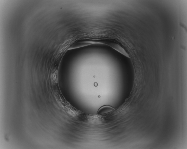 X0000100970432200806241555