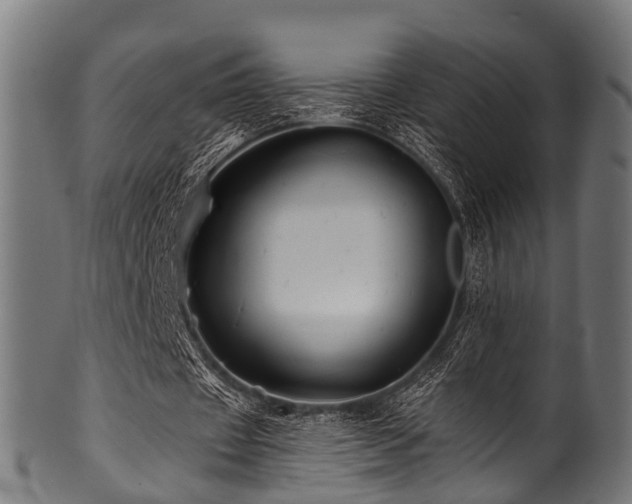X0000100970433200806241555